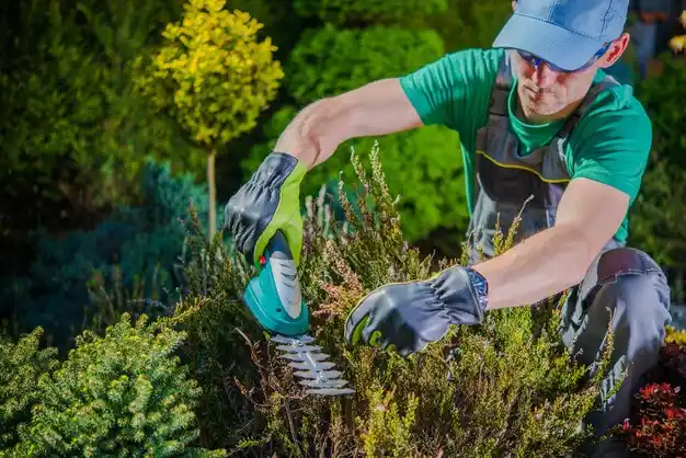 landscaping services Canastota